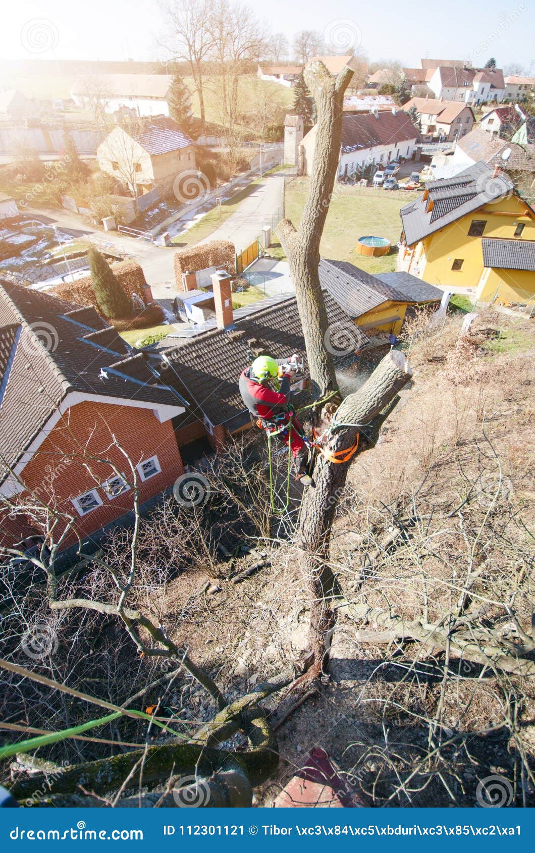 arborist man cutting a branches with chainsaw and throw on a ground. the worker with helmet working at height on the trees. lumber