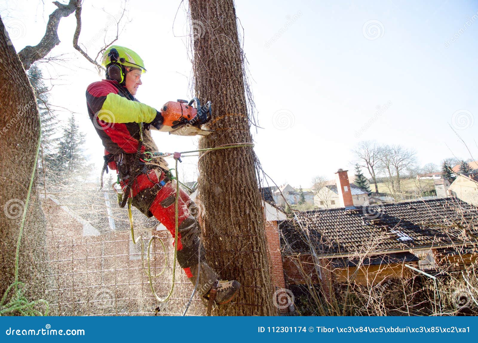 215 Arborist Silhouette Stock Photos - Free & Royalty-Free Stock