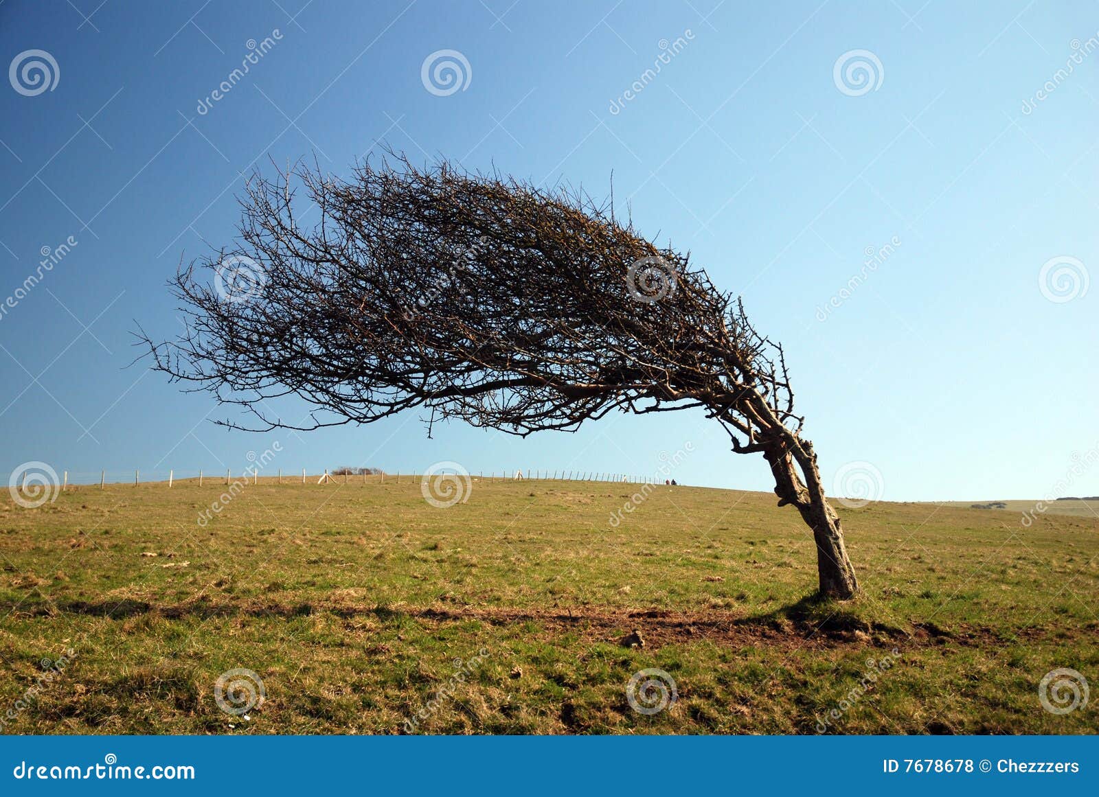 Bracelet De Téléphone Portable Seasalt - Motif Floral Bordeaux, Serre-tête élégant, Multicolore