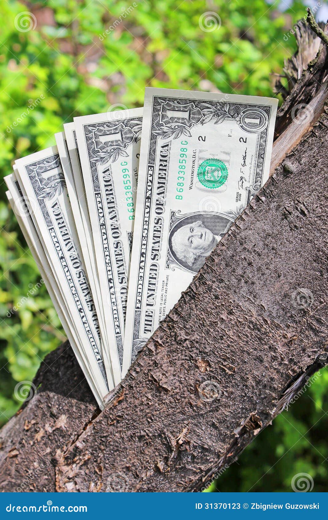 Sapin Décoré De L'argent. Billets Du Dollar Comme Un Jouet D'arbre
