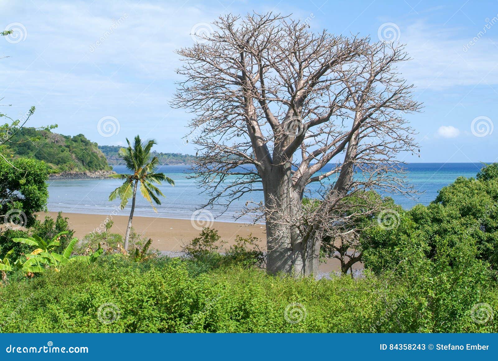 baobab tours mayotte