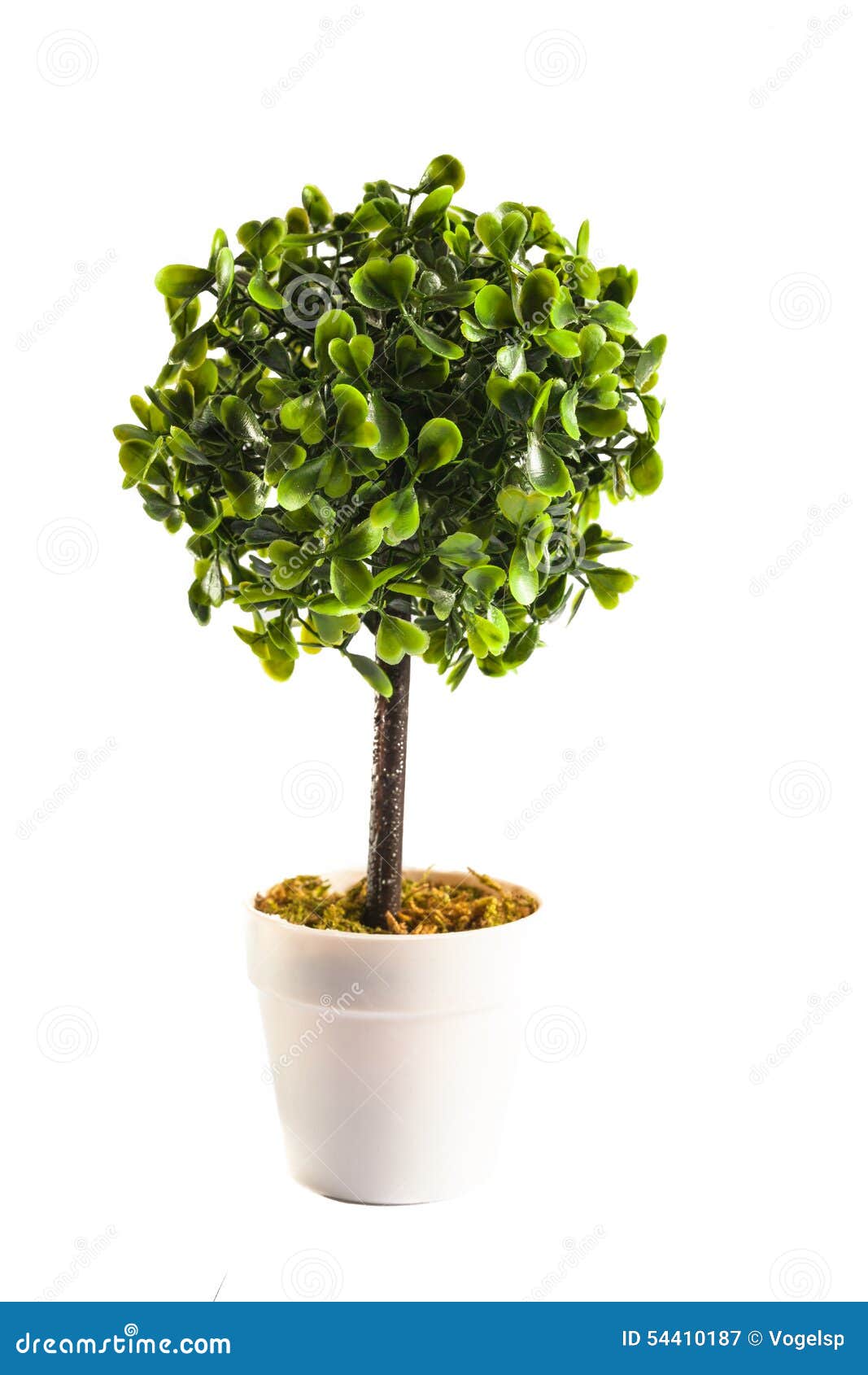 5 PCS Mini Sapin De Noël Mini Arbre Artificiel Avec Effet Neige