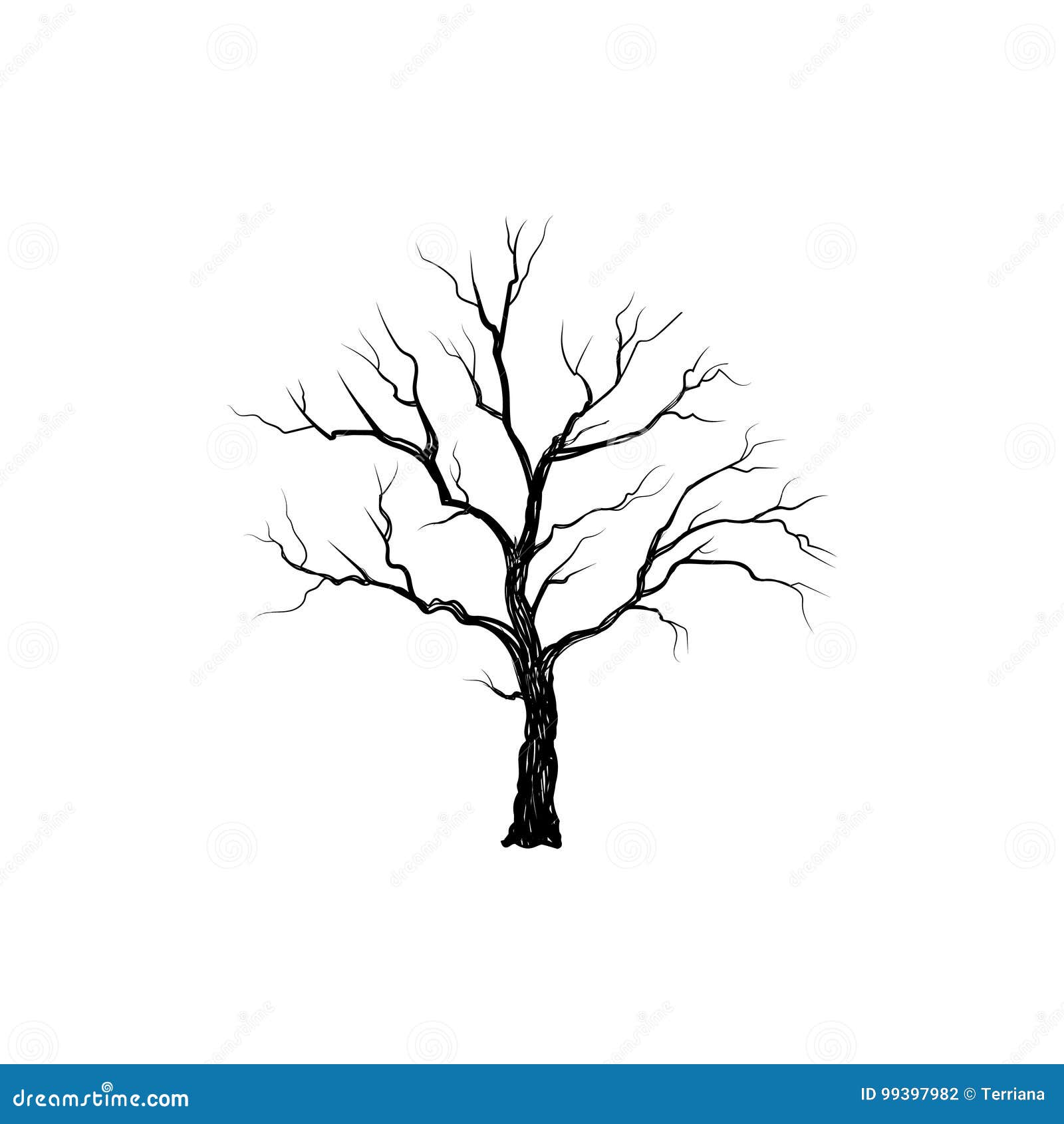 Dessin Arbre Sans Feuille Realiste Arbre Sans Feuilles IcÎne Extérieure D'hiver Floral De Signe De Nature Illustration Stock - Illustration du configuration, ligne: 99397982