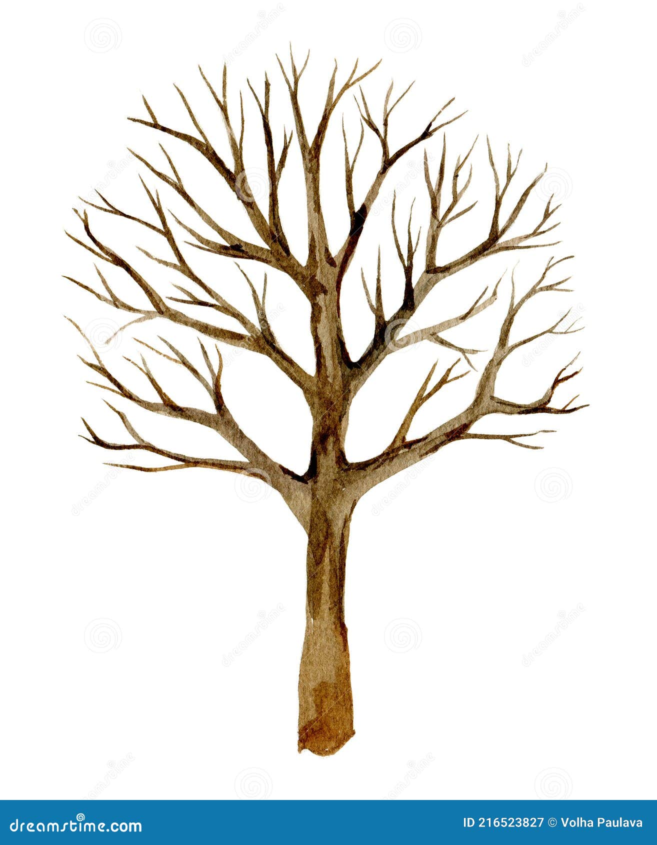 Dessin D Arbre Sans Feuille A Imprimer Arbre Sans Feuilles Silhouette Arbre D'hiver Isolé Sur Fond Blanc Aquarelle Illustration Stock - Illustration du horreur, isolement: 216523827