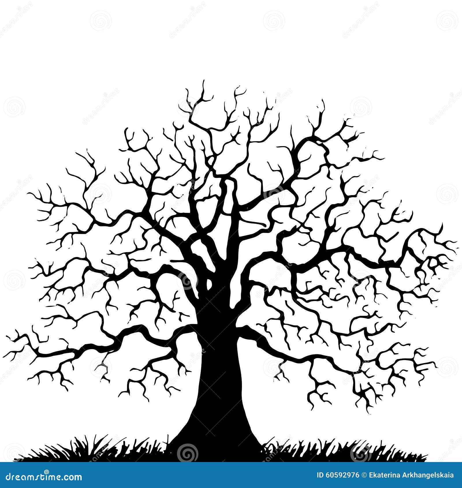 Dessin Arbre Sans Feuille Realiste Arbre Sans Silhouette De Feuilles Illustration de Vecteur - Illustration du organique, herbe: 60592976