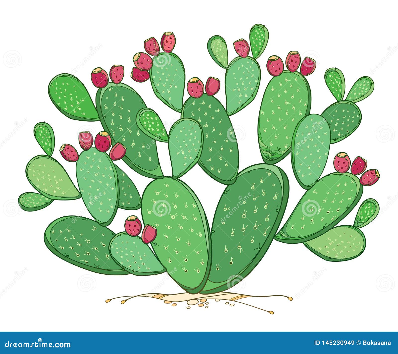 Ilustração Do Houseplant Do Cacto Linha Arte Do Vetor Do Opuntia Página  Adulta Do Livro Para Colorir Ilustração do Vetor - Ilustração de flor,  desenhado: 128448835