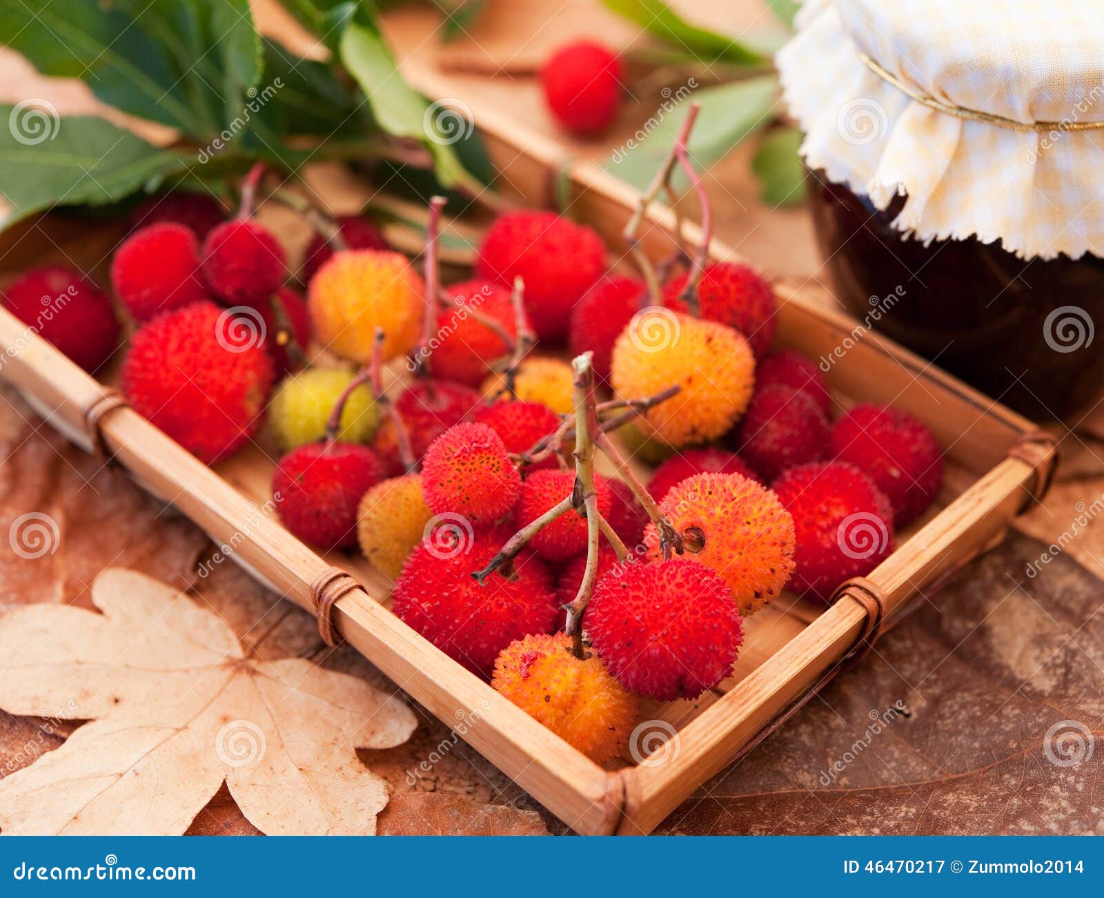 Arbutusfruit stock image. Image of autumn, vitamin, wild 46470217