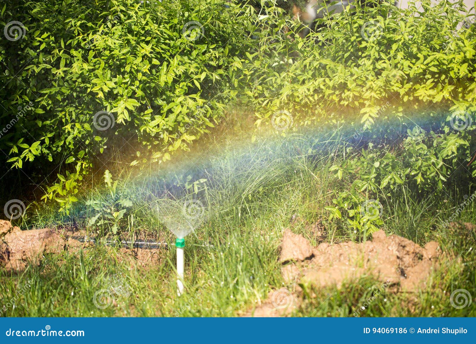 Arc En Ciel Dune Fontaine Deau Dans La Nature Photo Stock