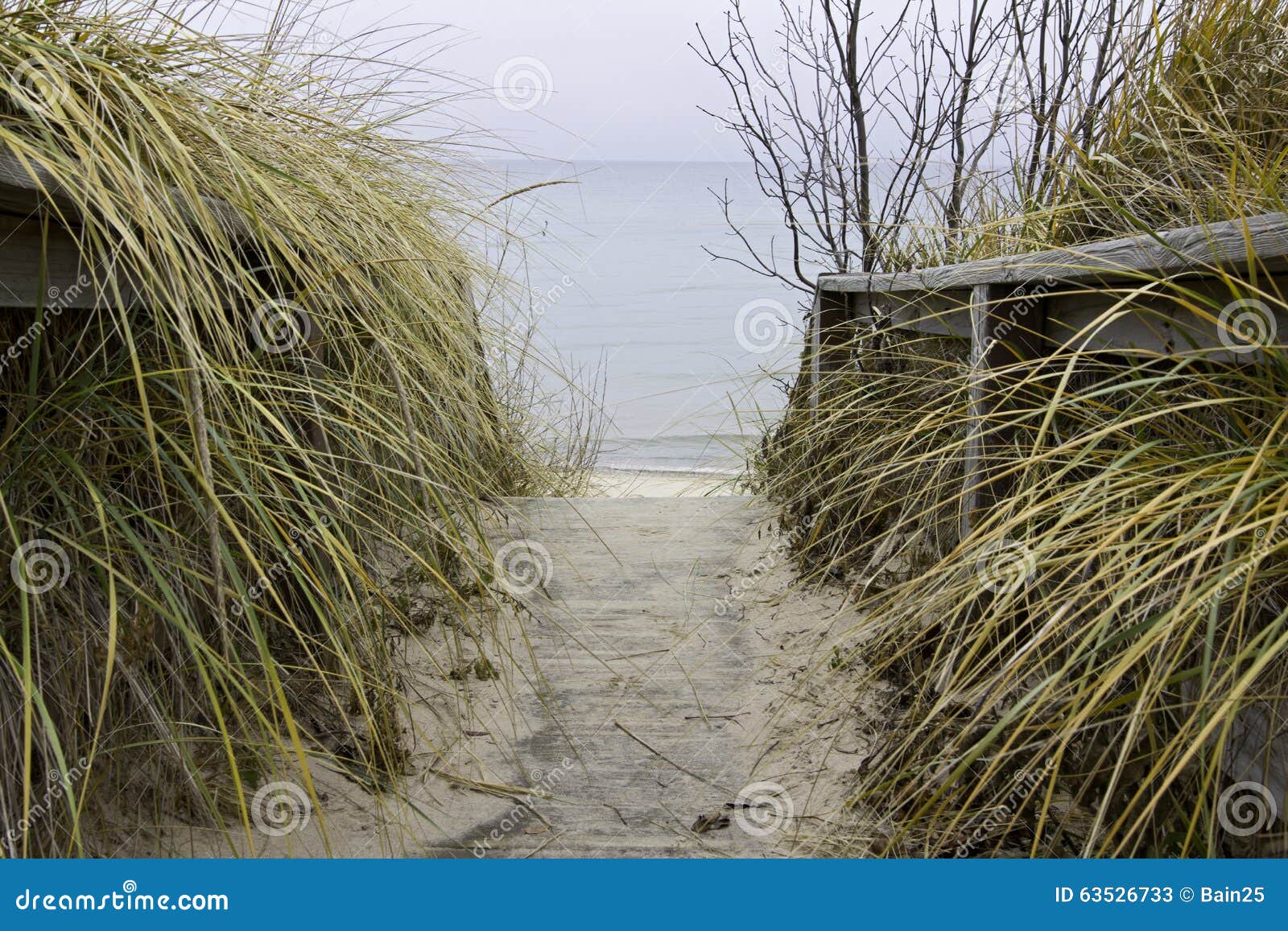 Arcadia beach stock image. Image of boardwalk, blue, trees 63526733