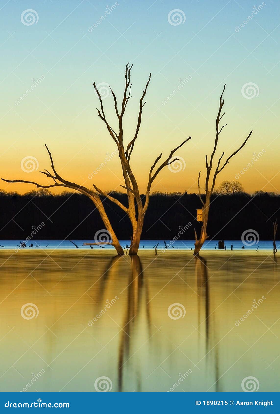 Arcadia Lake at Sunrise stock image. Image of house, cove 1890215