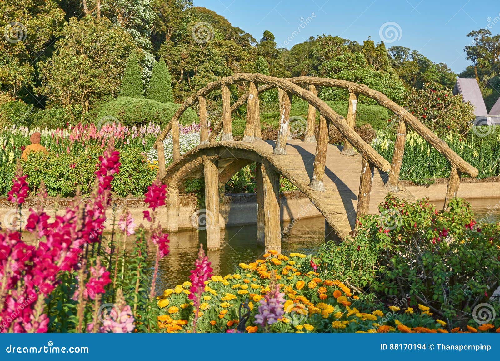 Arch bridge. stock photo. Image of pond, beautiful, nature 88170194