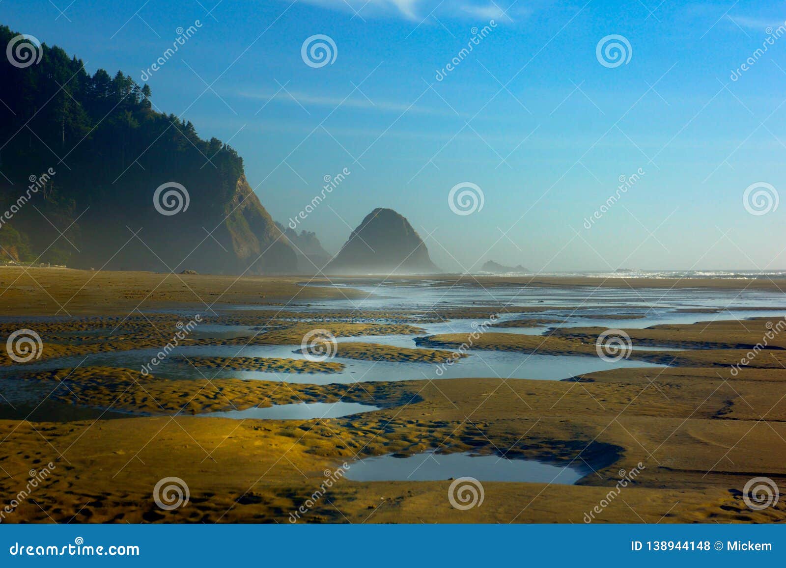 arch cape beach tide pools