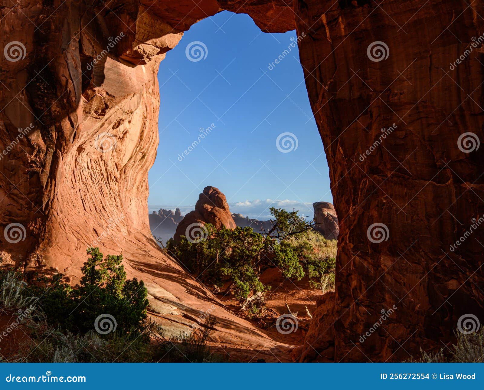 Arch View in Arches National Park Stock Photo Image of arch, utah