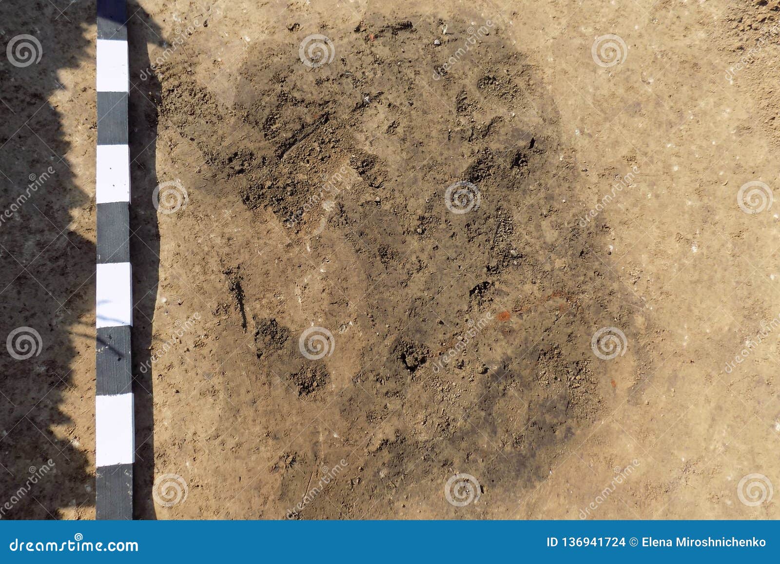 archaelogical spot in the ground marking of existing some finds tomb or something similar one. real excavations, digger process.
