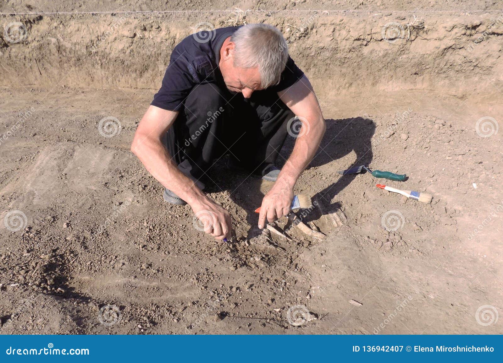 Archaeological Excavations Archaeologist Digger Process Researching Tomb  Human Bones Part Stock Photo by ©xolo-dan 254001256