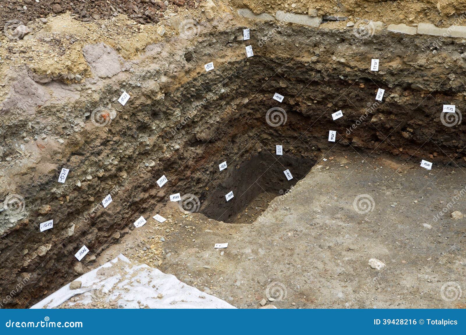 Archaeological Excavation. Human Remains Bones, Skeleton