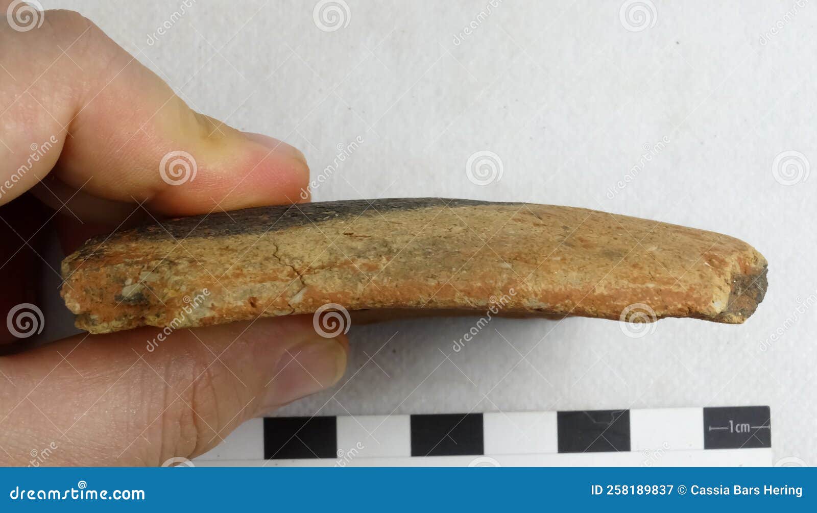 archaeological pottery sherd.