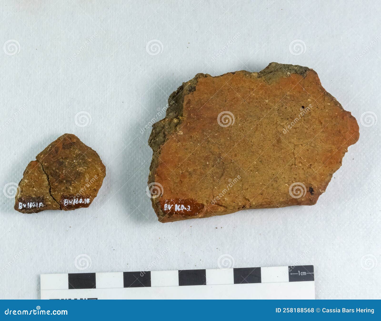 Archaeological Pottery Sherd. Stock Photo Image of classification