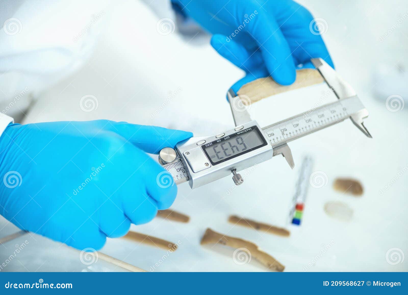 Archaeologist Measuring Lithics with Caliper in Laboratory Stock Image