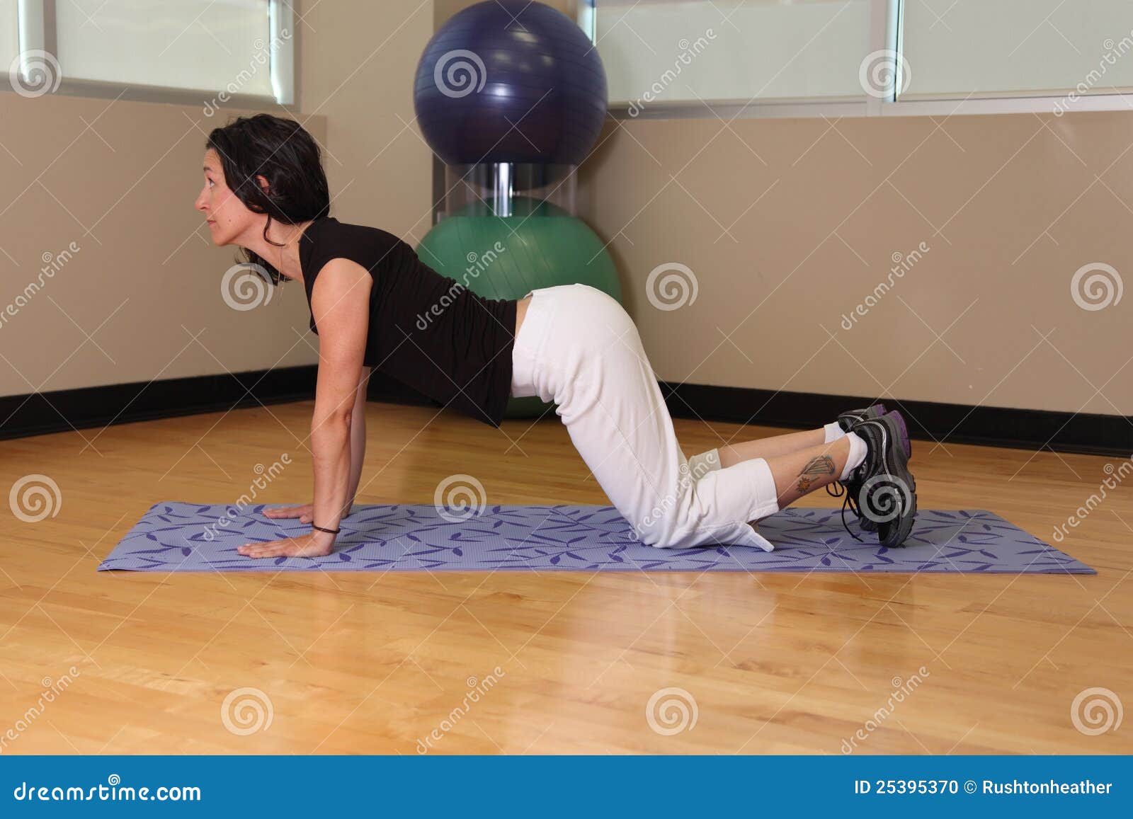 Arched Back Yoga Stock Photo Image Of Gain Pull Loss 2539
