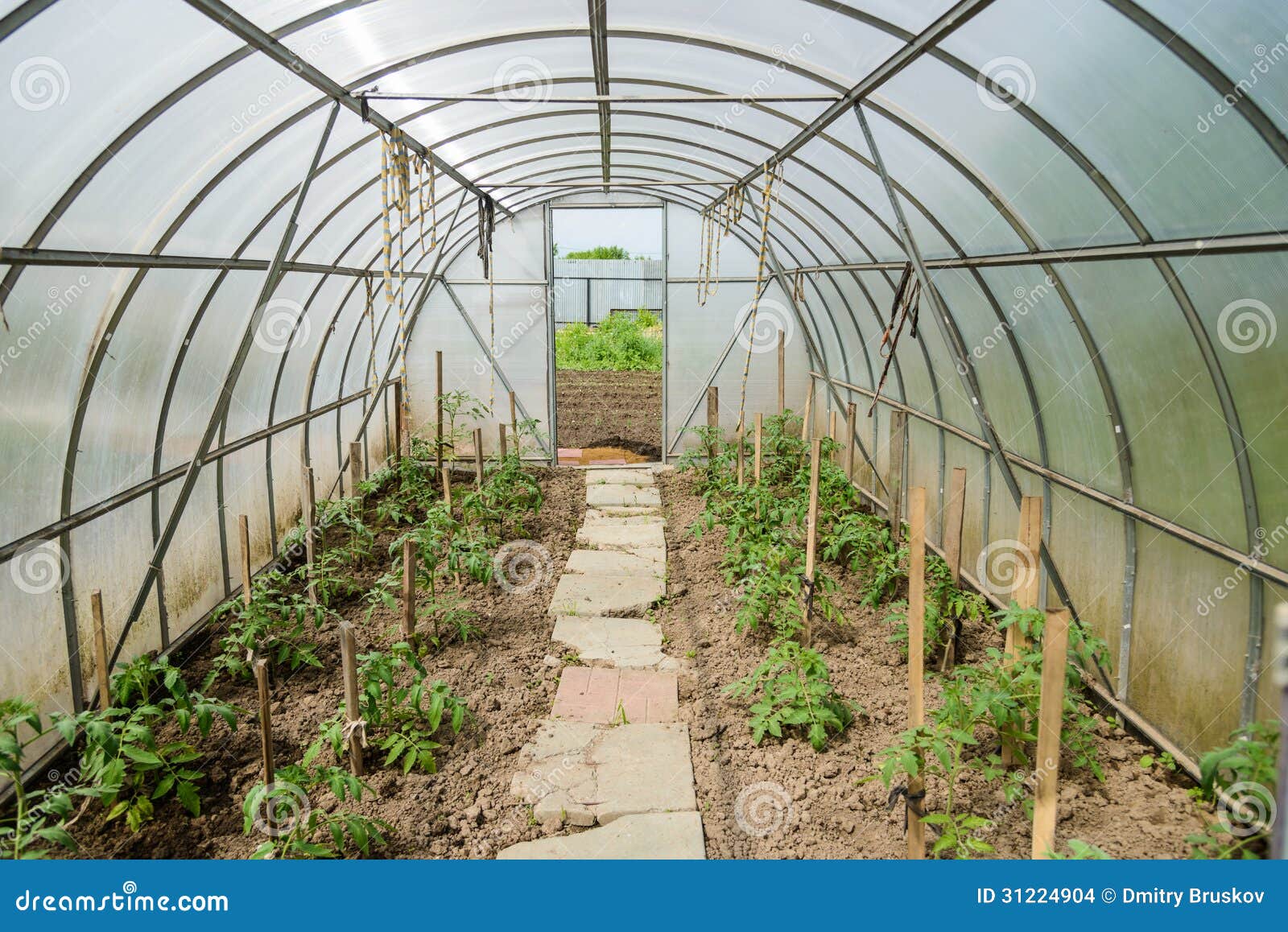 Arched greenhouse stock photo. Image of agriculture, healthy 31224904