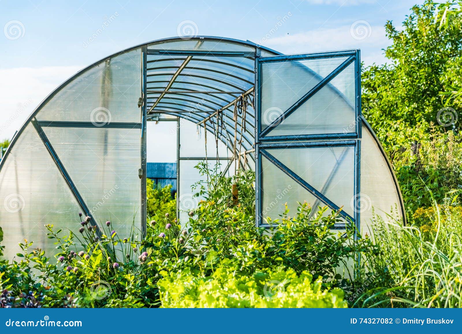 Arched greenhouse stock photo. Image of hothouse, daylight 74327082