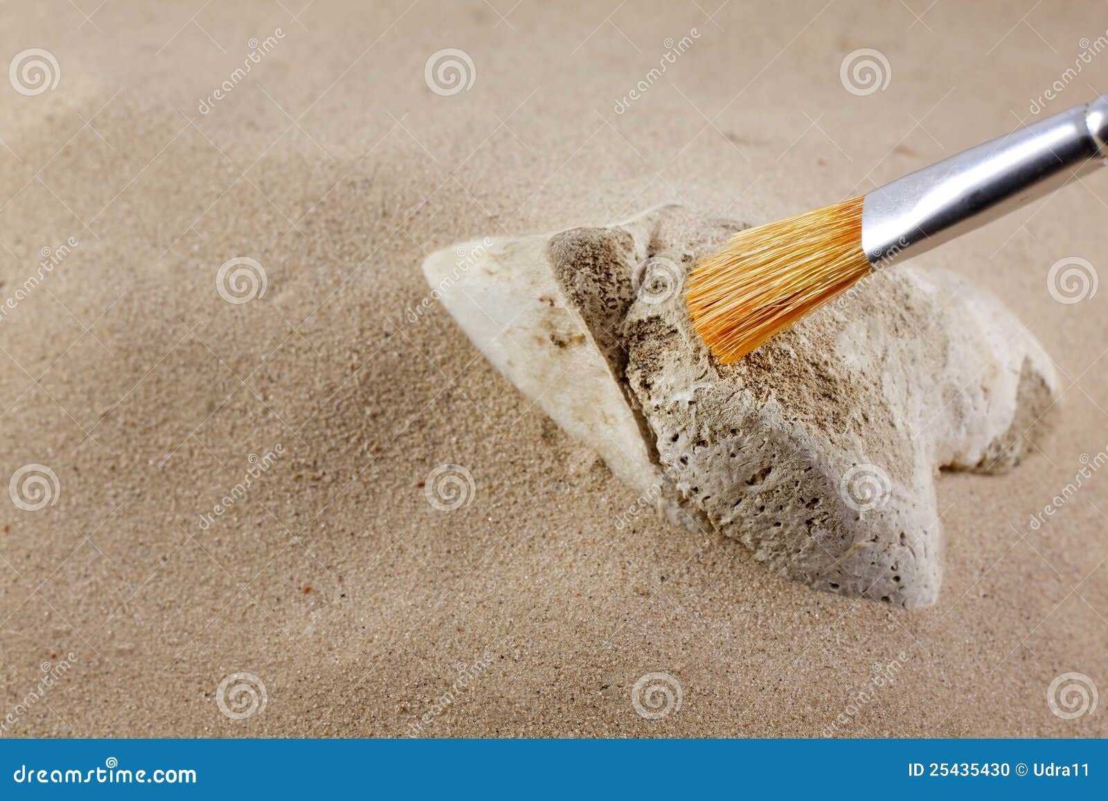 archeology and forensics bones in sand