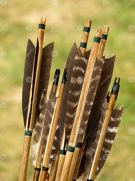 Archery arrows stock photo. Image of arrows, brindled - 9500520