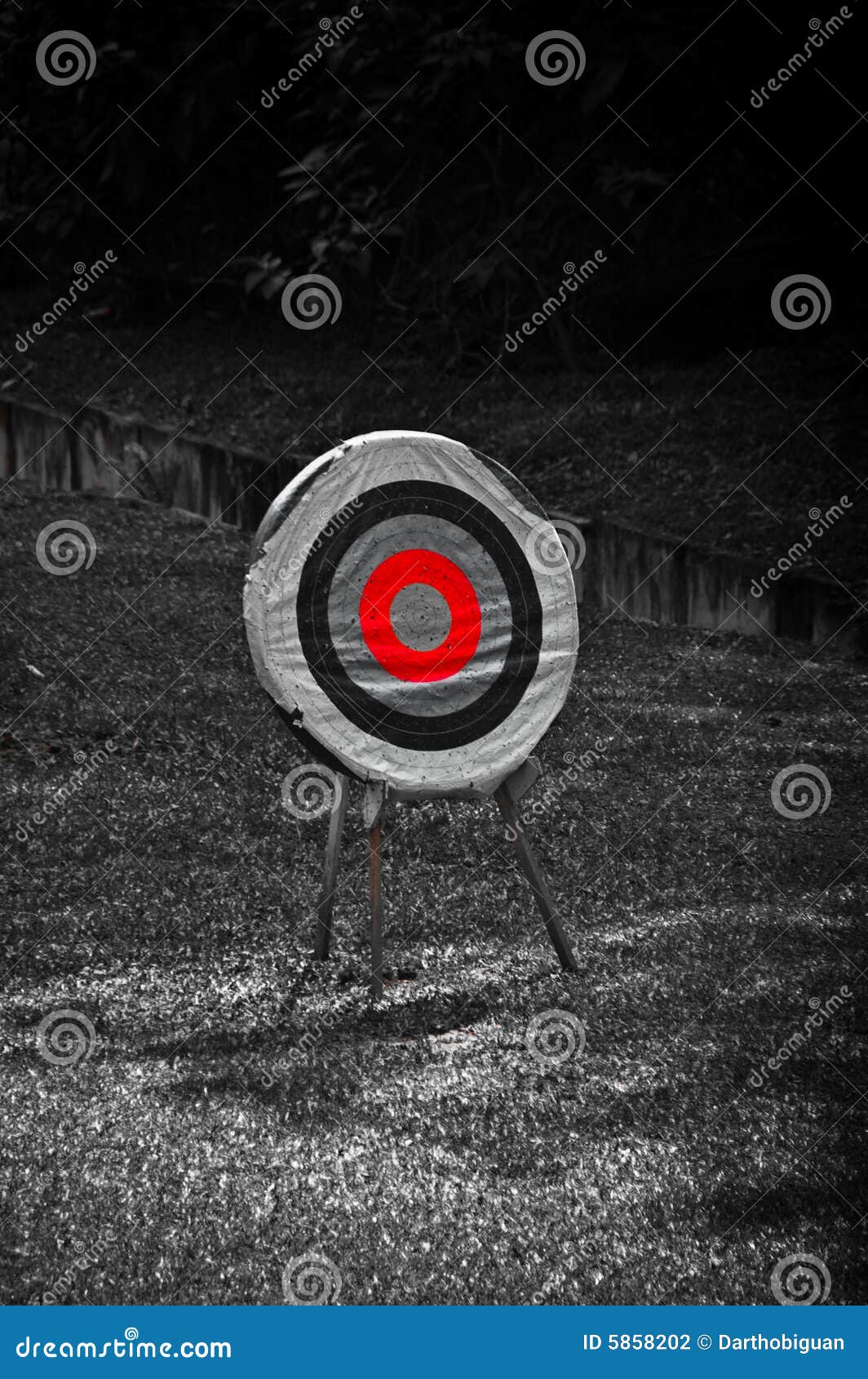 Archery Board Stock Photography Image 5858202