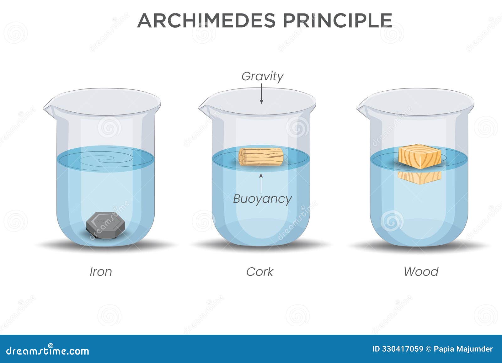 Archimedes Principle Buoyant Force and Fluid Displacement Stock Vector