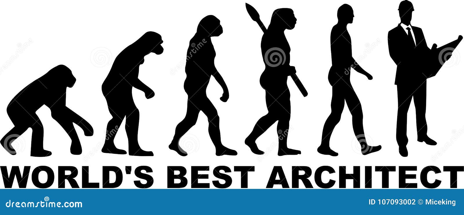 architect architecture evolution