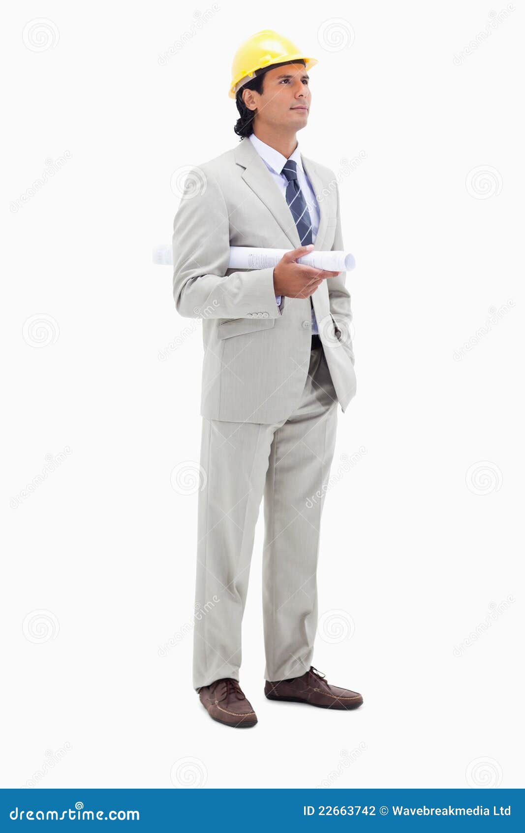 Architect with Helm and Construction Plan Stock Photo Image of