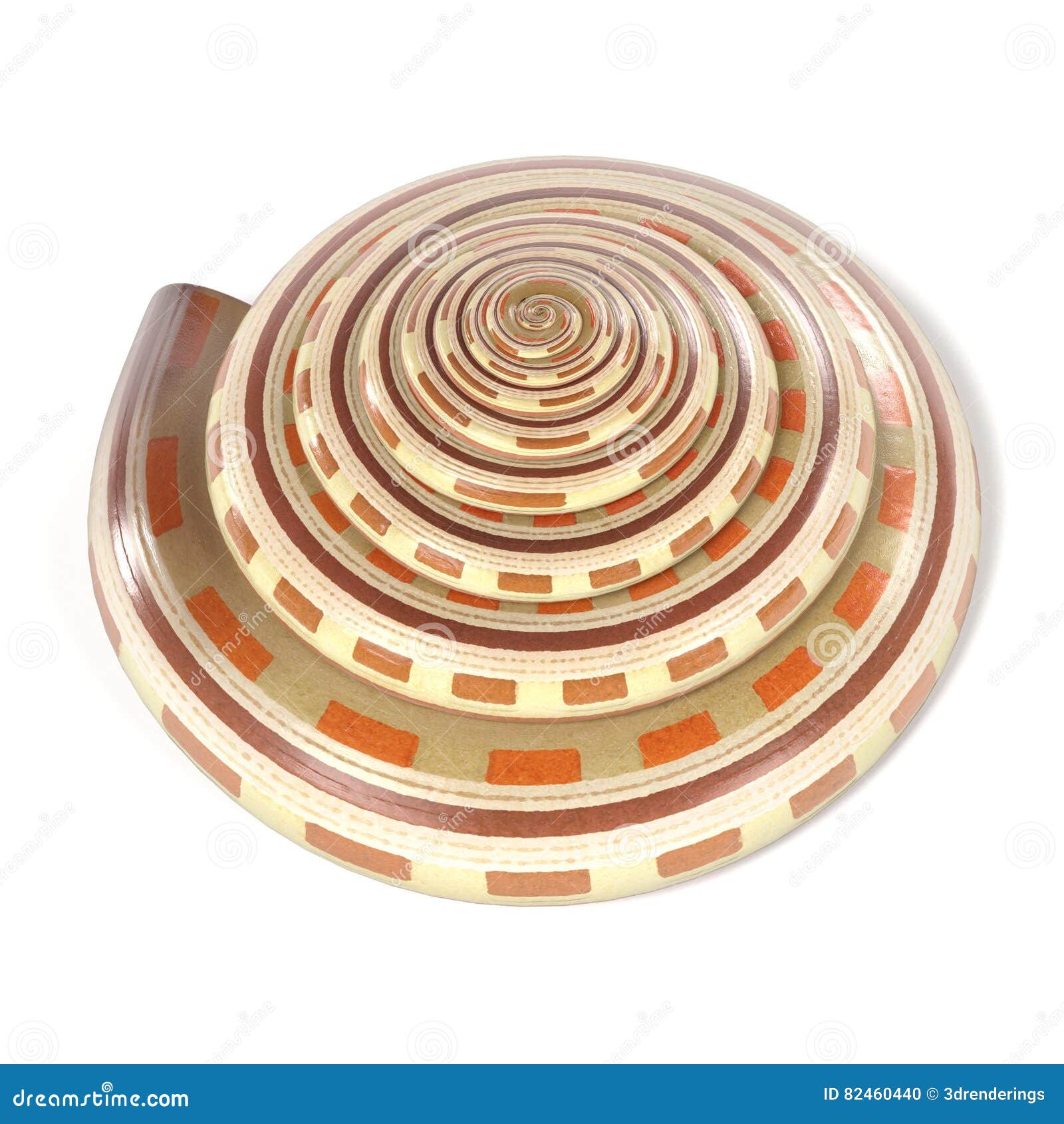 architectonica perspectiva sundial shell