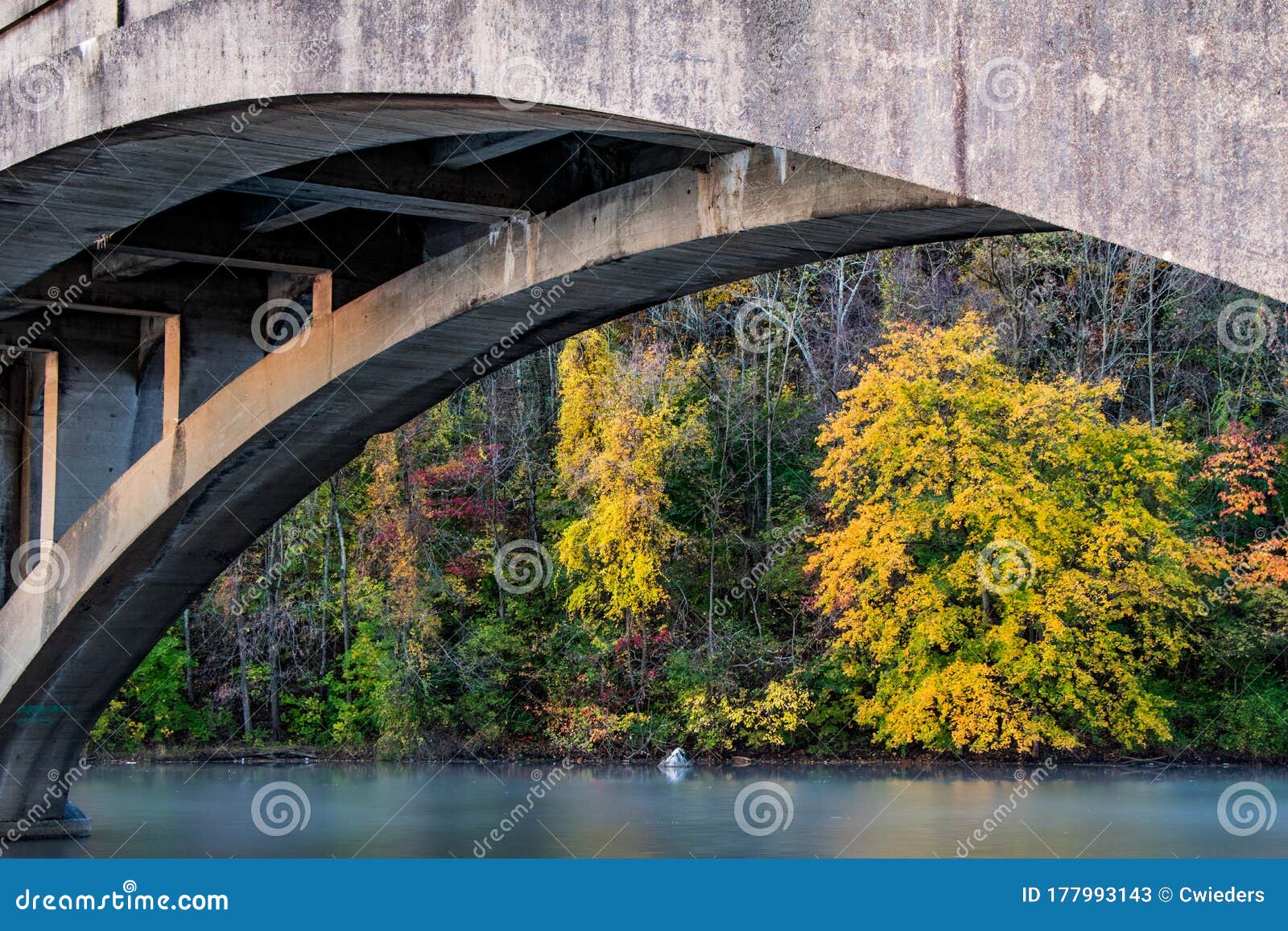 Autumn Landscape Featuring Colorful Trees Reflecting in a Lake in