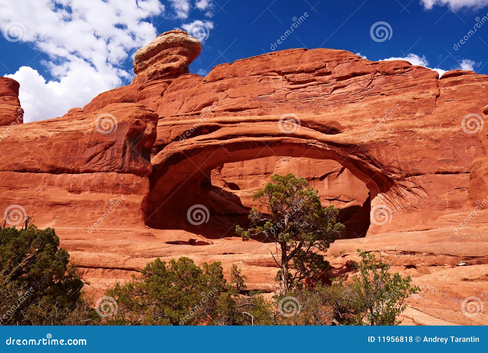 Arco de la torre, arcos parque nacional, Utah, los E.E.U.U.