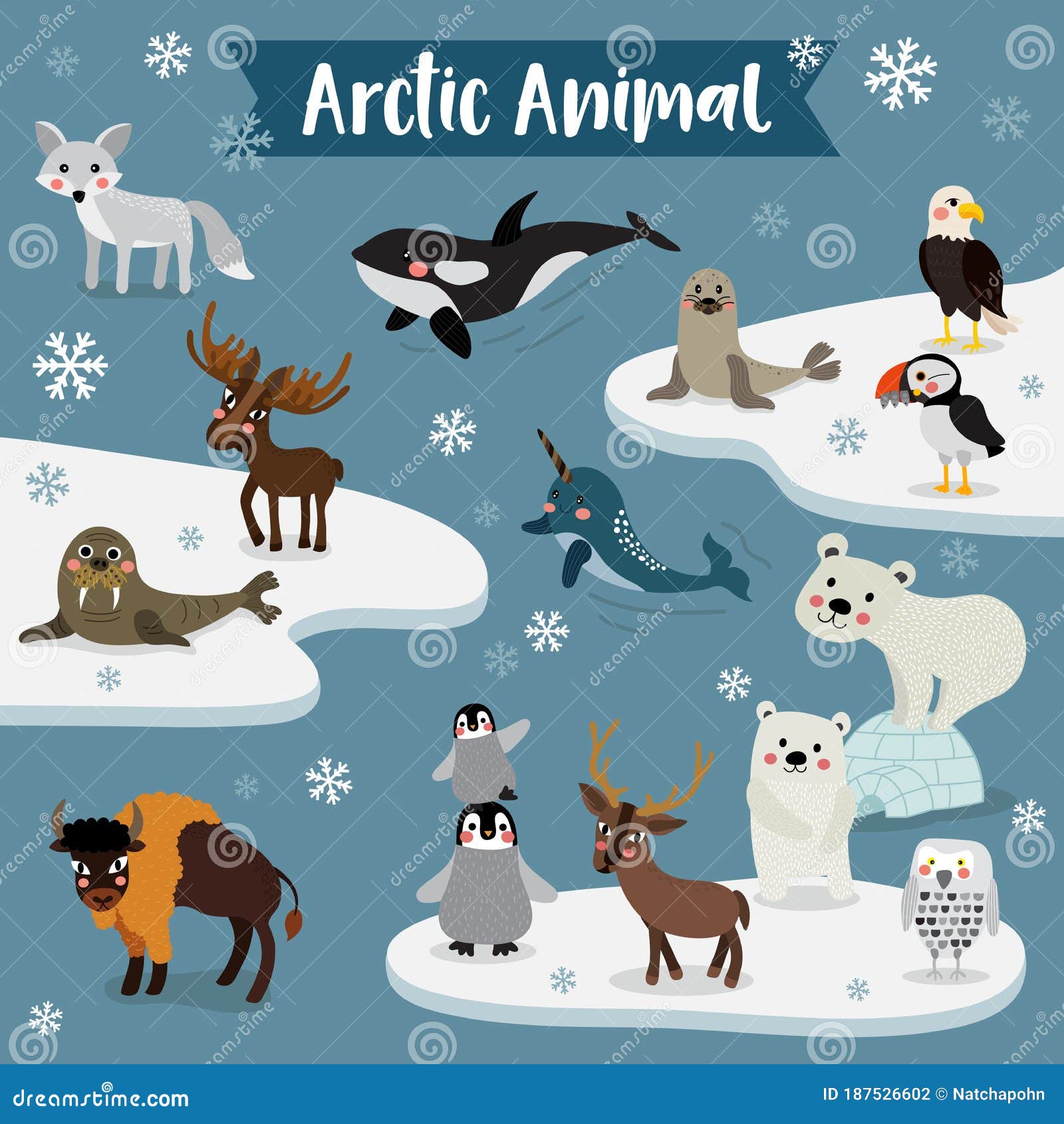 Arctic Animal Cartoon. Vector Illustration Stock Vector - Illustration of  colorful, glacier: 187526602