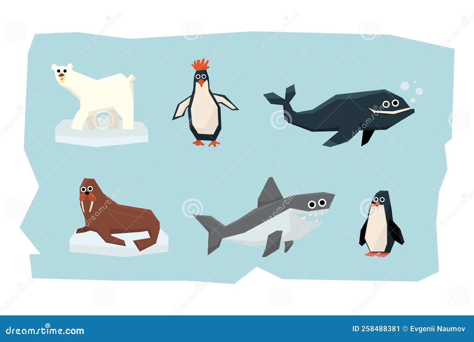 Arctic Animal with Penguin, Polar Bear, Walrus, Whale and Shark Vector ...