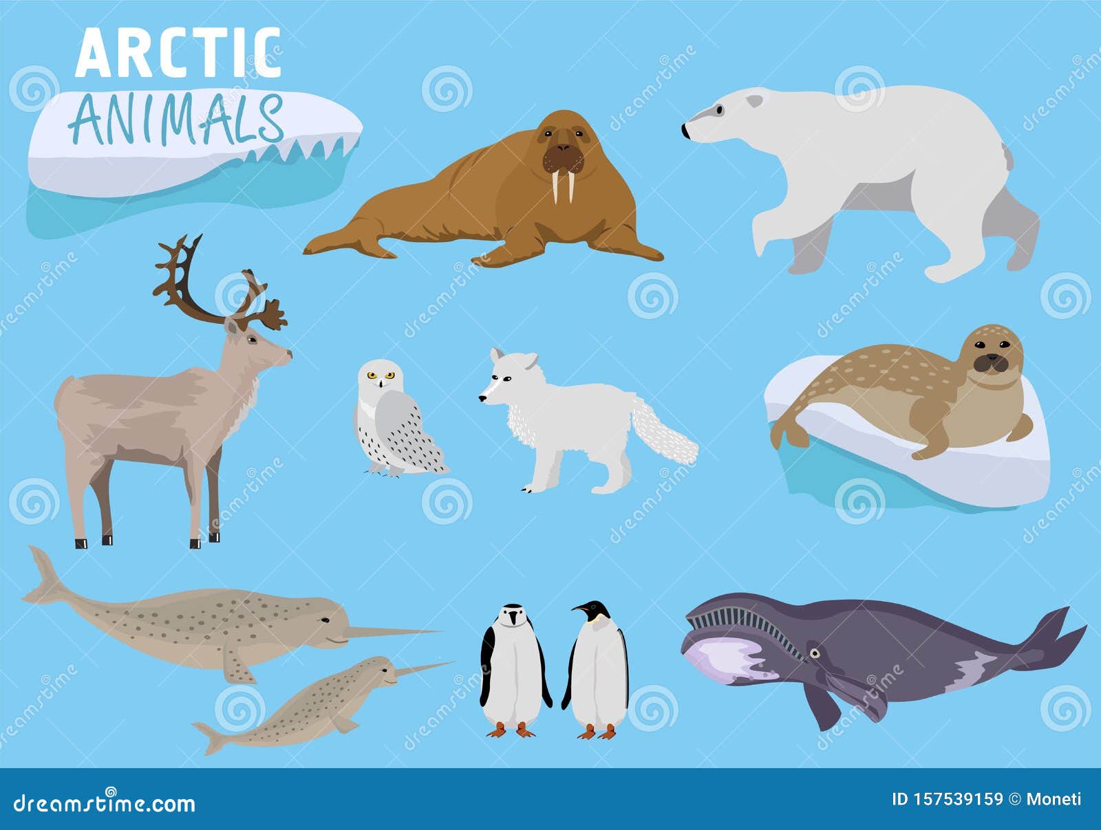 Arctic Animals. Alaska Animals. Cute Animal Set Stock Illustration ...