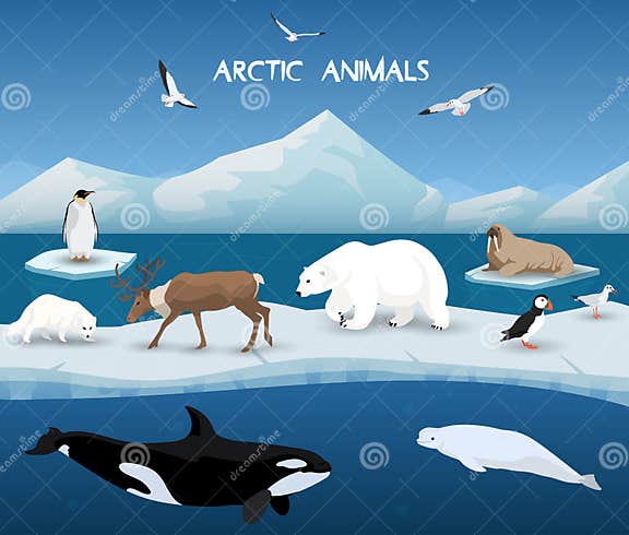 Arctic Animals Character and Background, Winter, Nature Travel and ...