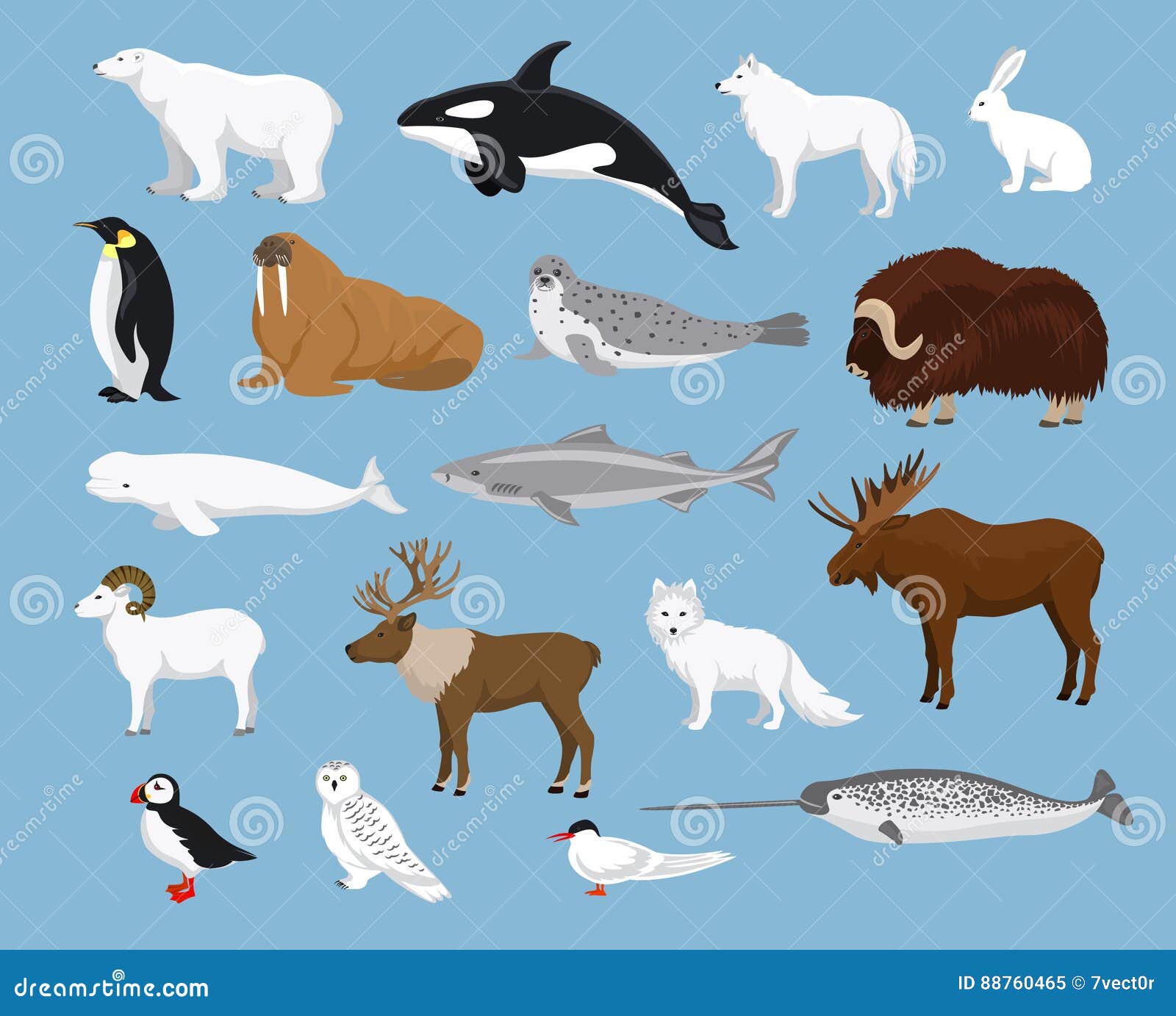 Arctic animals collection stock vector. Illustration of blue - 88760465