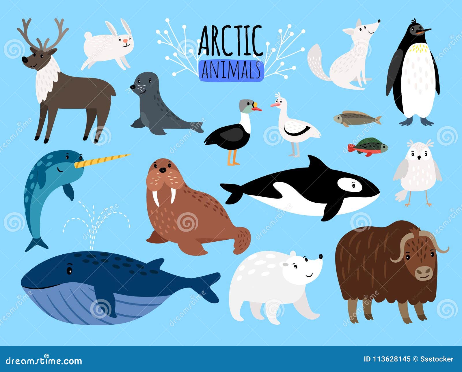 Arctic Animals. Cute Animal Set of Arctic or Alaska Vector Illustration for  Education, Penguin and Polar Bear Stock Vector - Illustration of dolphin,  bison: 113628145