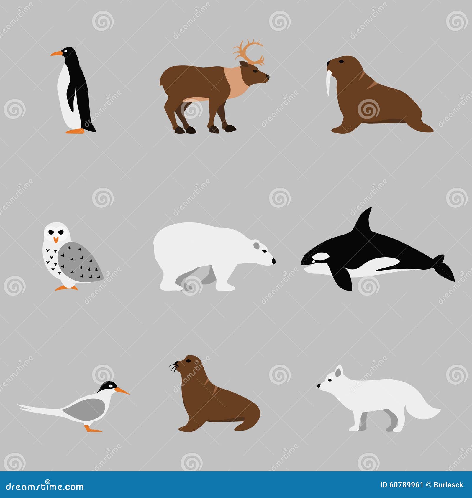 Arctic and Antarctic Animals Set in Flat Vector Stock Vector - Illustration of creature, nature: 60789961 Arctic and Antarctic Animals Set in Flat Vector Stock Vector - Illustration of creature, nature: 60789961