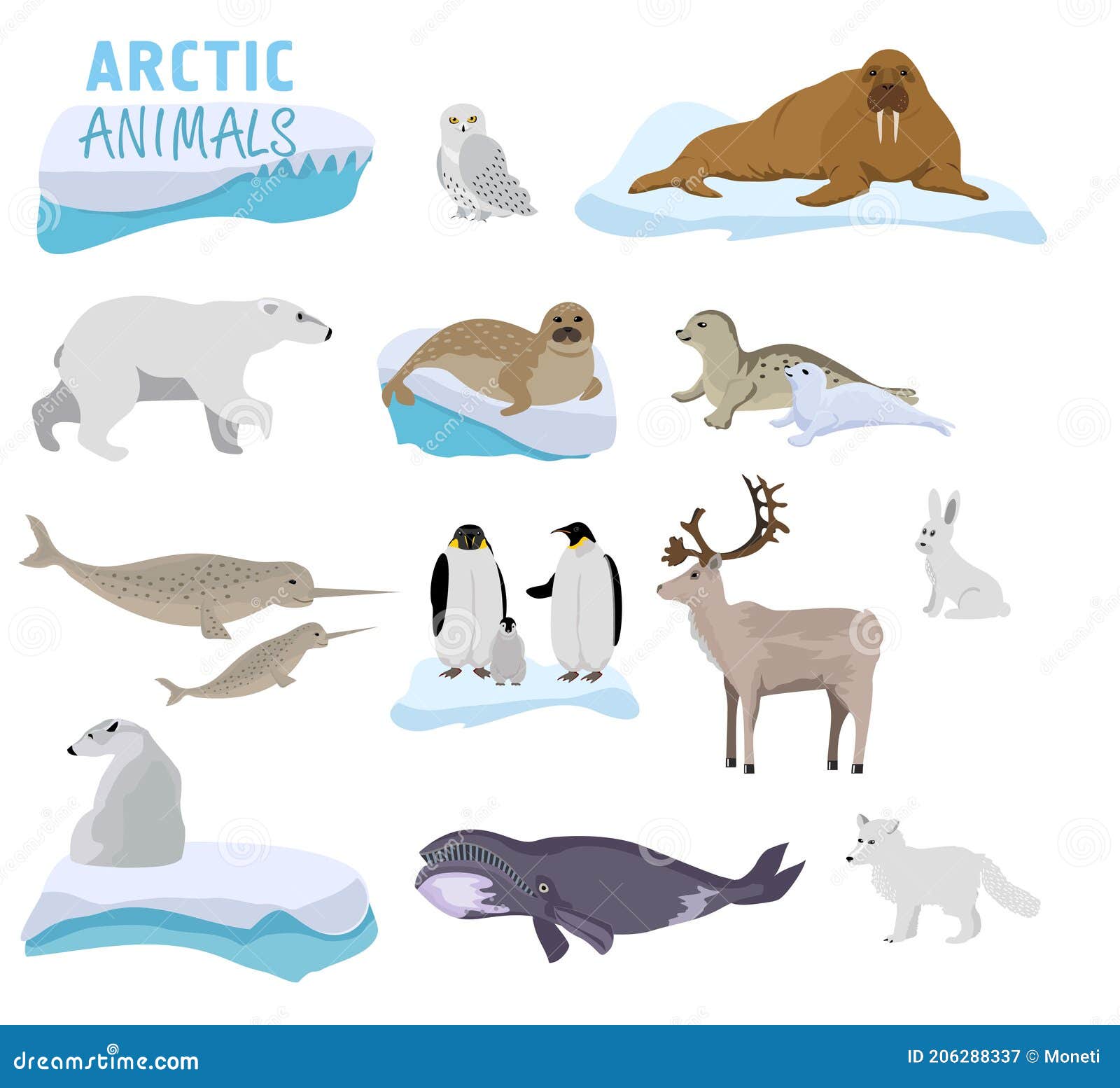Arctic Creature Cartoon on Blue Background. Polar Animals Stock Vector -  Illustration of arctic, creature: 206288337