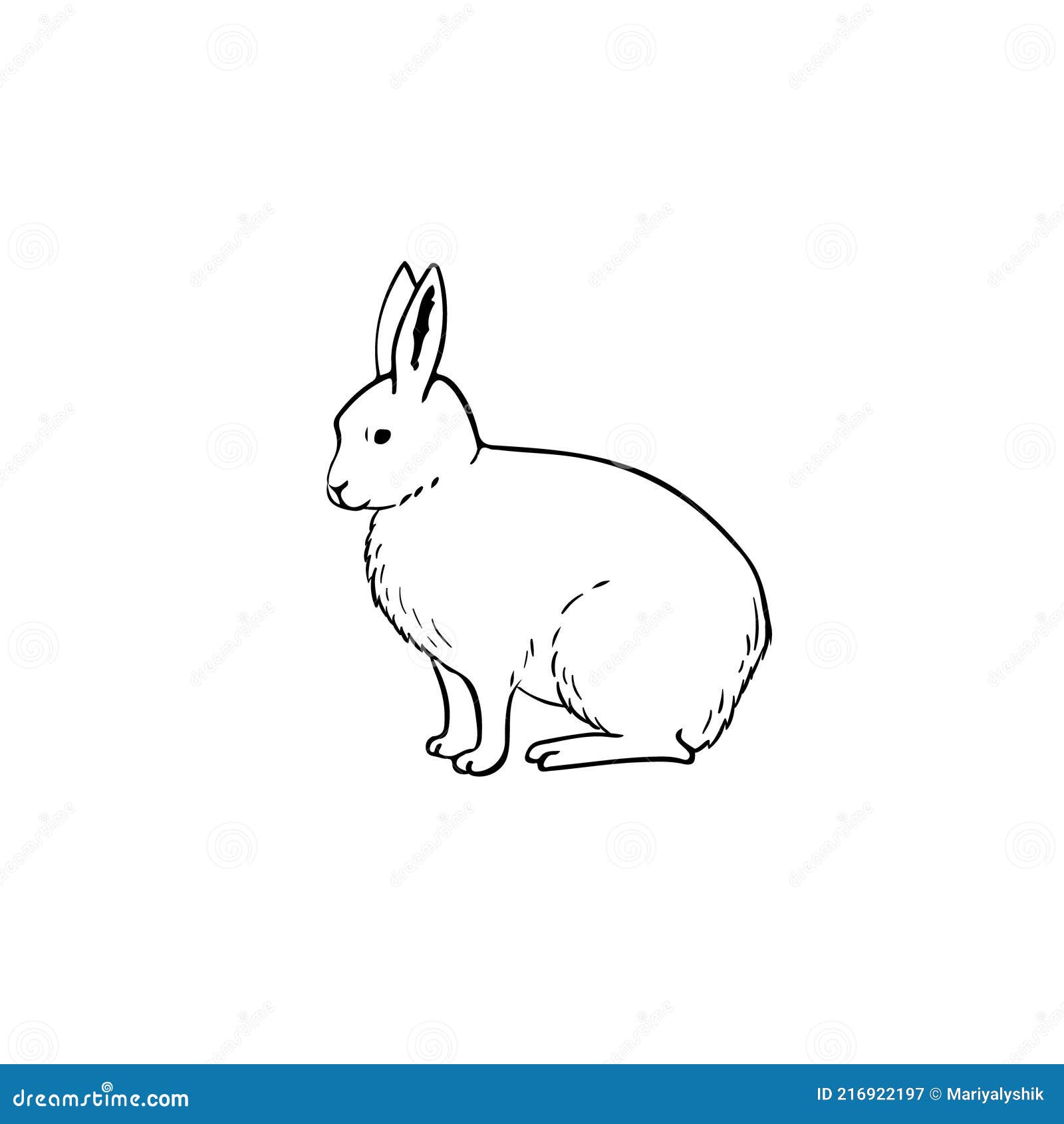 arctic hare cartoon