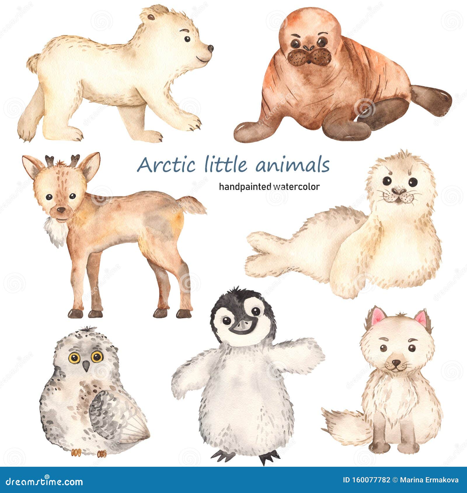 Arctic fox Cute wild Animals Gifts Art Board Print for Sale by Dolphin  Graphic