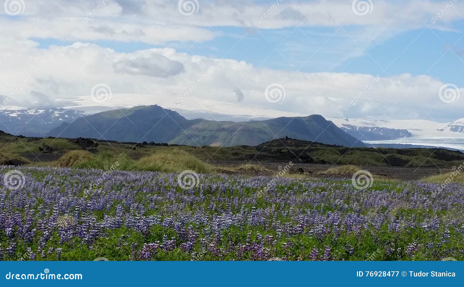 Arctic Summer Landscape In Iceland Stock Image Image Of Summer