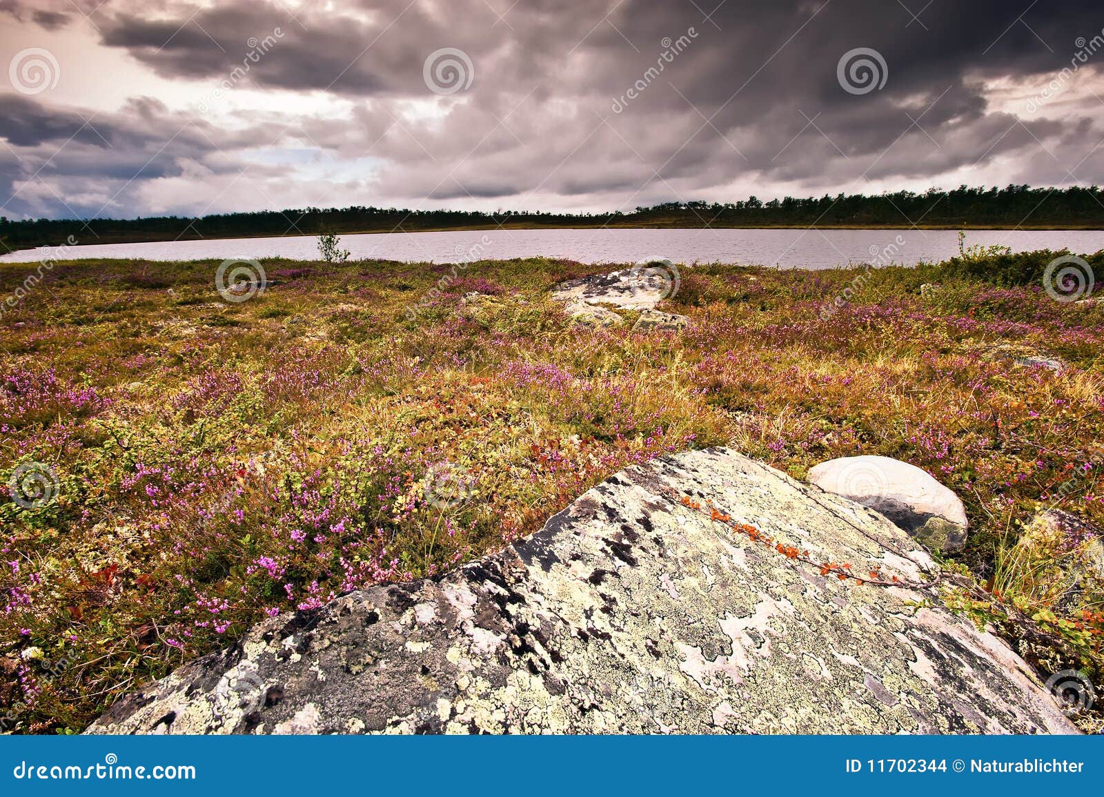 arctic tundra and lake