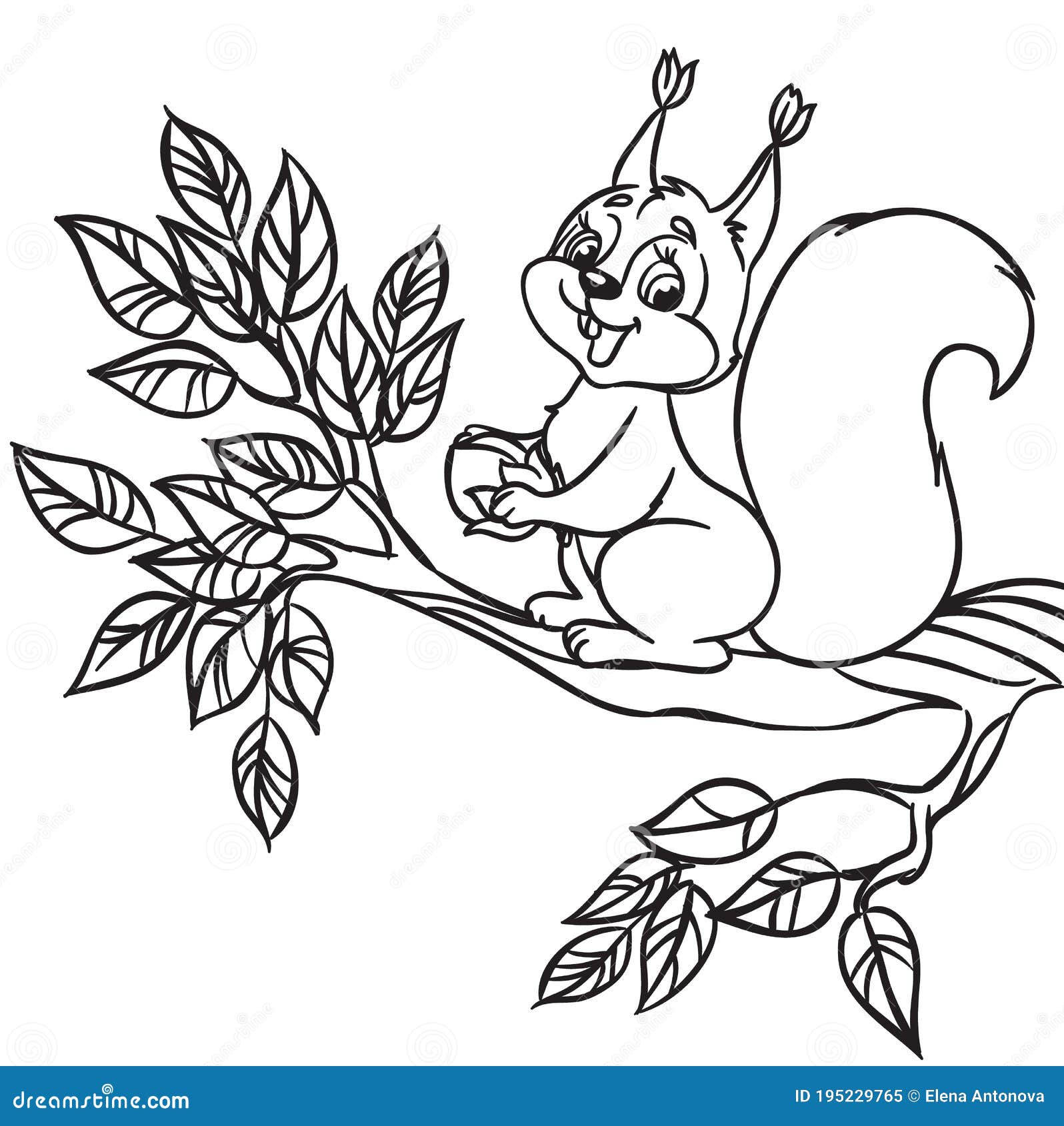 Ardilla De Dibujos Animados Adorable Con Una Nuez Sentada En Una Rama.  Delineado Para El Libro De Colorear. Ilustración del Vector - Ilustración  de alegre, tuerca: 195229765