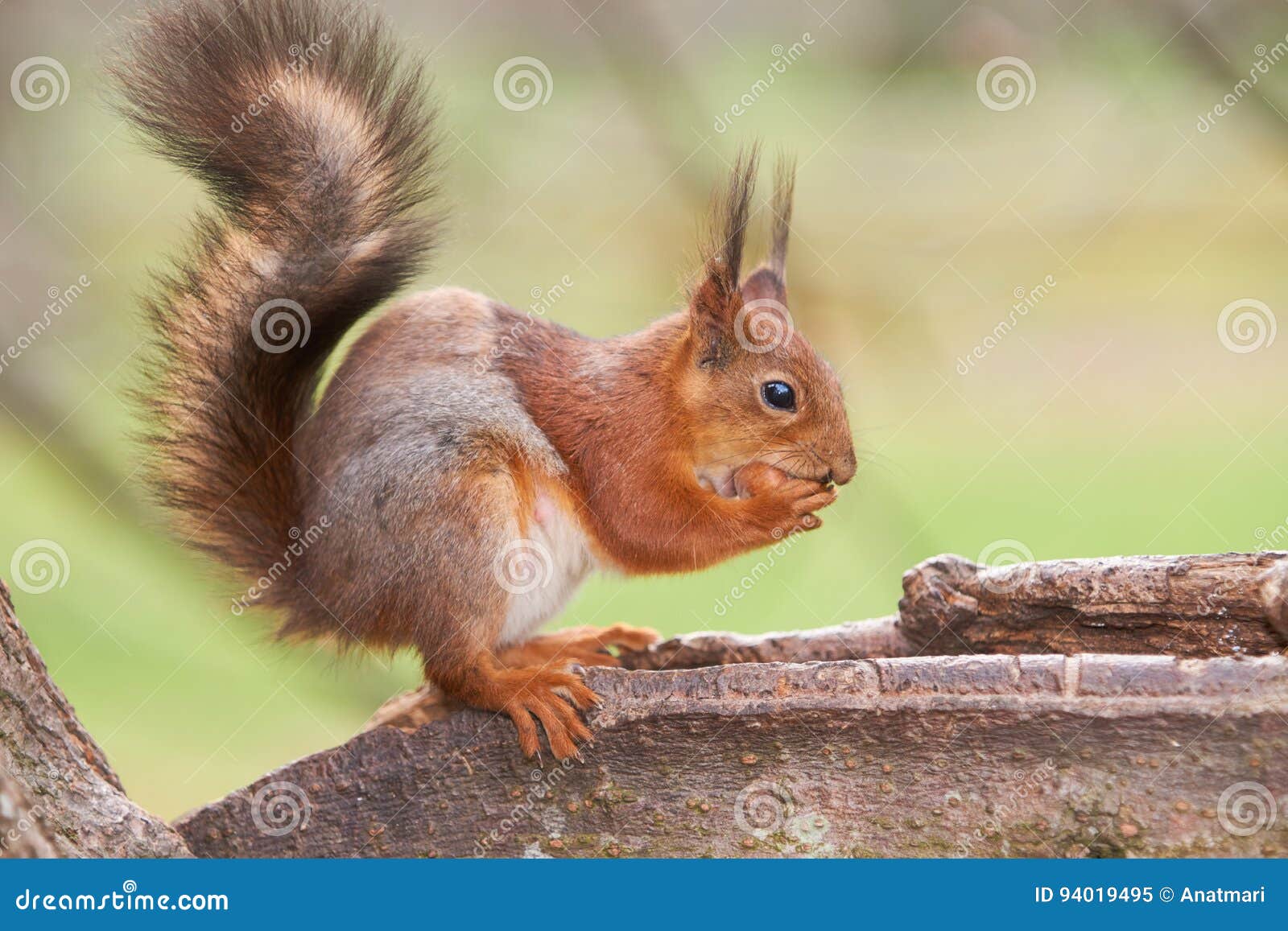 Gorra De Dibujos Animados Para Ninos Con Diseno De Cachorro Con Orejas De Perro Y Rayas De Beisbol Para Bebes De 1 A 4 Anos Azul Azul Wongfon Bebe Educators Ninos De