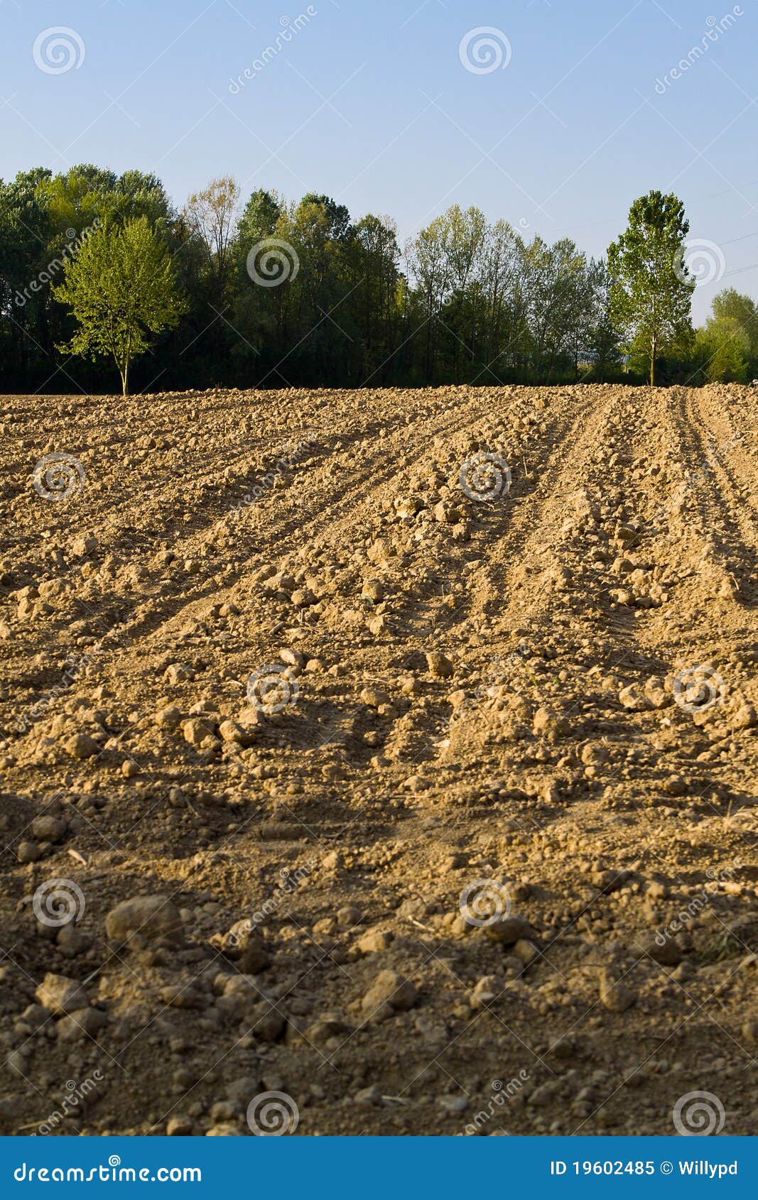 Area of arable land stock image. Image of terrain, natural 19602485